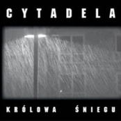 Kamery by Cytadela