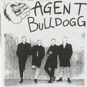 Agent Bulldogg