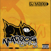 dj maddog