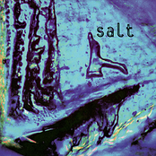 Salt