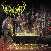 Lord Of Plagues by Vulvodynia