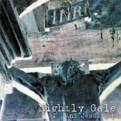 In Despair Of Solitude by Nightly Gale