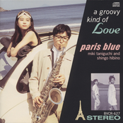 A Groovy Kind of Love