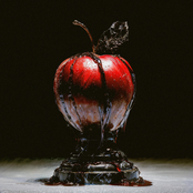 The Bitter Taste Of Apples That Promised Everything