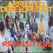 Another Perspective by Arrested Development