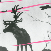 Sound of Suomi: The Electro Sound of Finland