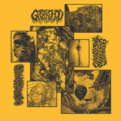 split w Gastropod/ Lacerated Trichinosis