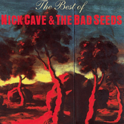 I Let Love In by Nick Cave & The Bad Seeds