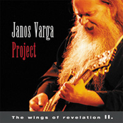 janos varga project