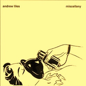 Find A New Husband by Andrew Liles