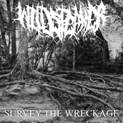 Wildspeaker: Survey The Wreckage