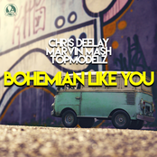 Bohemian Like You