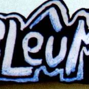 pleum