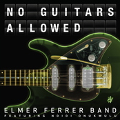 No Guitars Allowed