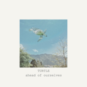 Turtle - Single