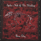 Bone Dog