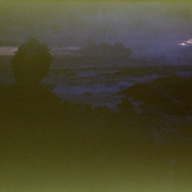 All These Lonely Nights