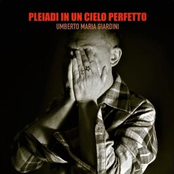 Pleiadi in un cielo perfetto