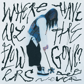 Deb Never: Where Have All The Flowers Gone?