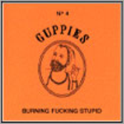 Burning Fucking Stupid