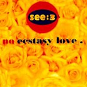 No Ecstasy Love