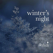 Winter's Night