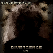Divergence