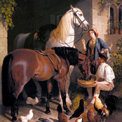 12 Rules for Feeding a Horse