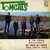 Tomcats