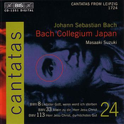 BACH, J.S.: Cantatas, Vol. 24 (BWV 8, 33, 113)