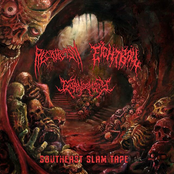 SPLIT WITH RECTOPLASM AND GORNORMITY