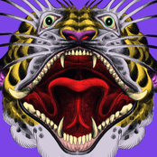 Bury Me With My Screams