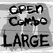Large