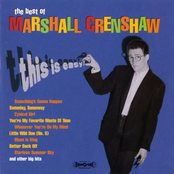 You're My Favorite Waste Of Time by Marshall Crenshaw