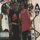 Gangsta Shit
