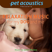 Relaxation Music for My Dog and Me