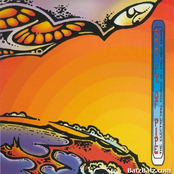 The Electrifying Church of the New Light