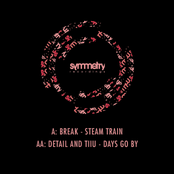 Symmetry (SYMM013)