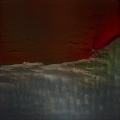 The Open Cage - Single