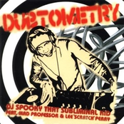 Dubtometry (Mixed by DJ Spooky)