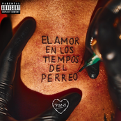 Piso 21: El Amor En Los Tiempos Del Perreo