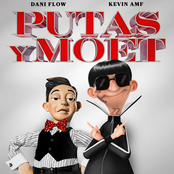 Dani Flow: PUTAS Y MOET