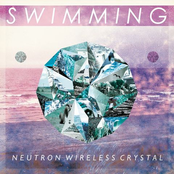 Neutron Wireless Crystal - Single