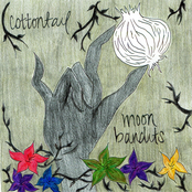 Cottontail & Moon Bandits split