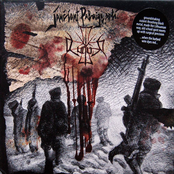 Jauciant Pabaiga Arti