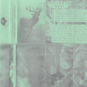 Western Forests & Lost Ruins