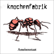 Ameisenstaat by Knochenfabrik