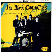 les black carnations