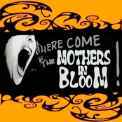 Here come the Mothers in Bloom!