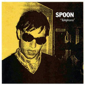 The Government Darling by Spoon